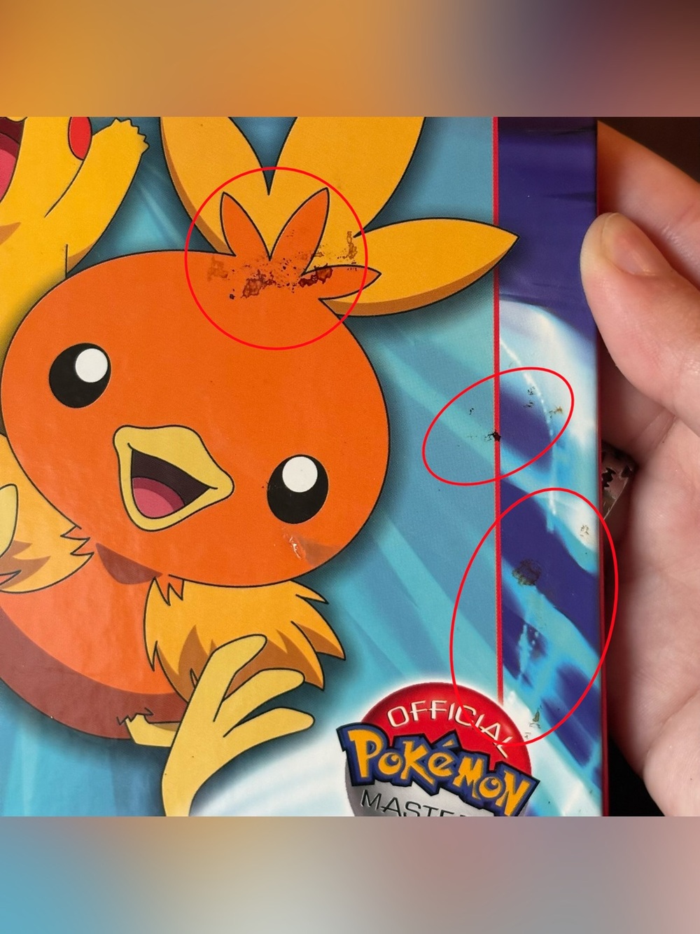 Pokemon Time Out For Torchic Book - Picture 2 of 3